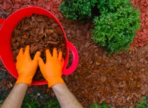 close up shot man doing mulching work